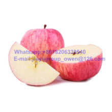 Yantai Origin New Crop FUJI Apple Top Quality